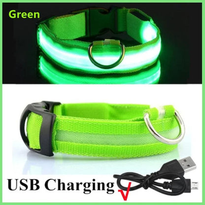 Glowing Dog Collar - 1-Stop Discount Shop