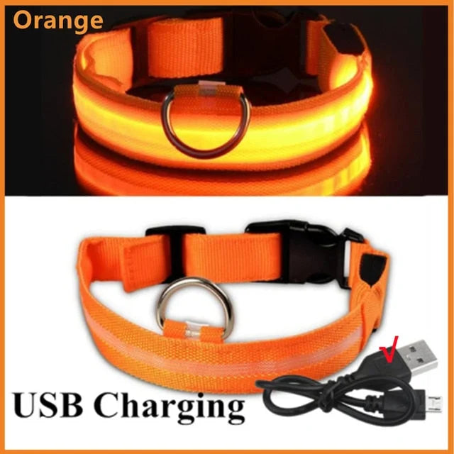 Glowing Dog Collar - 1-Stop Discount Shop