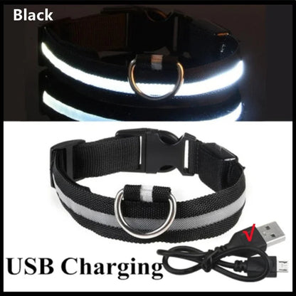 Glowing Dog Collar - 1-Stop Discount Shop