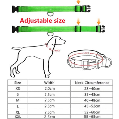 Glowing Dog Collar - 1-Stop Discount Shop