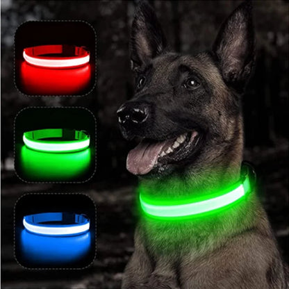 Glowing Dog Collar - 1-Stop Discount Shop