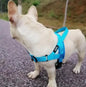 Adjustable Dog Harness - 1-Stop Discount Shop