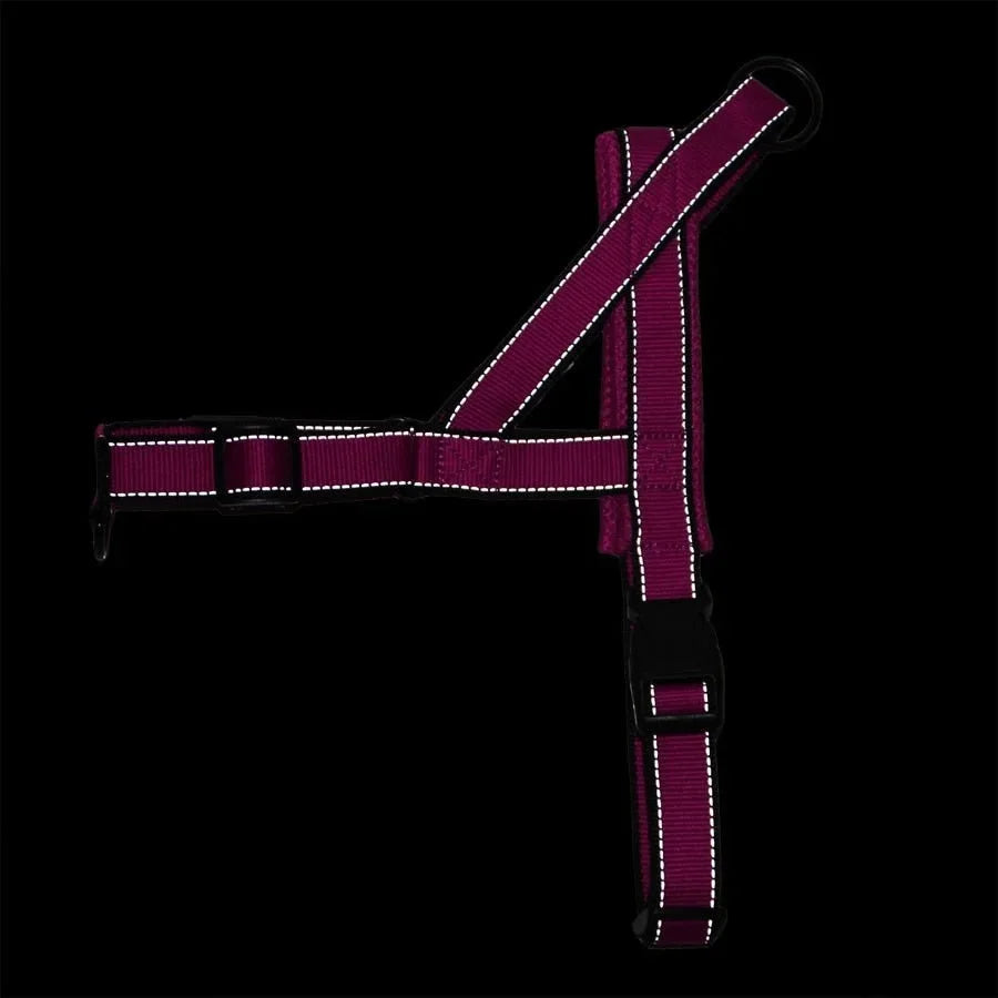 Adjustable Dog Harness - 1-Stop Discount Shop