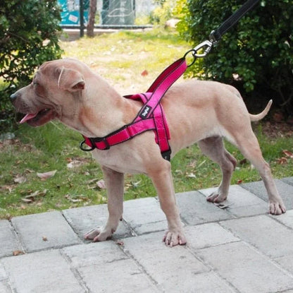 Adjustable Dog Harness - 1-Stop Discount Shop