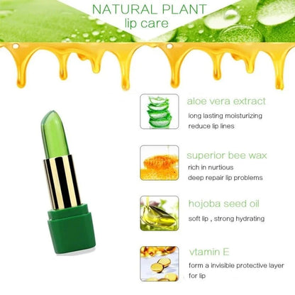 Aloe Vera Moisturizing Lip Balm - 1-Stop Discount Shop