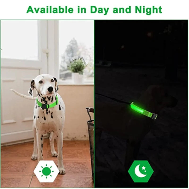 Glowing Dog Collar - 1-Stop Discount Shop