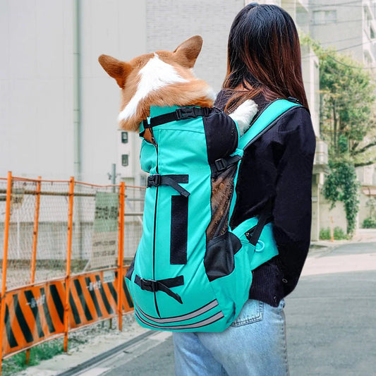 Dog Carrier - 1-Stop Discount Shop